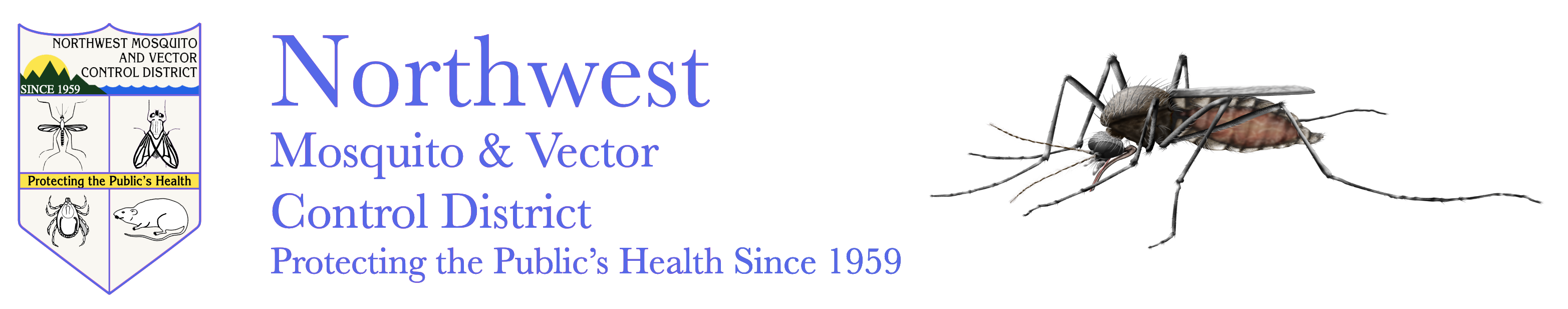 Northwest MVCD