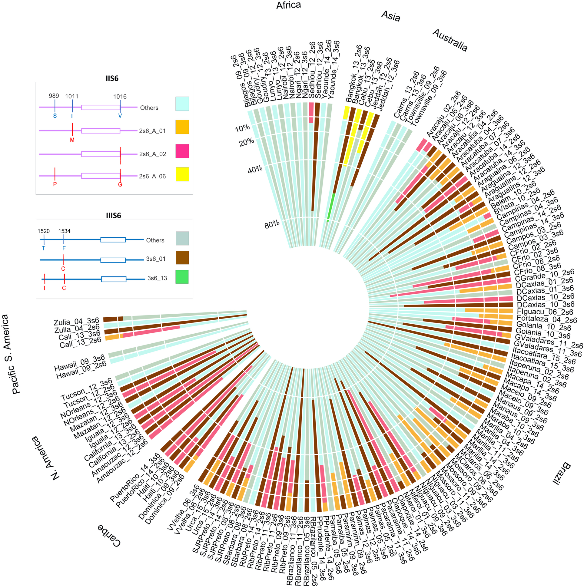 Frequencies of haplotypes with or without non-synonymous substitutions in IIS6 and IIIS6 NaV segments