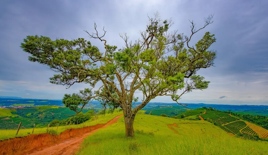 Minas Gerais countryside